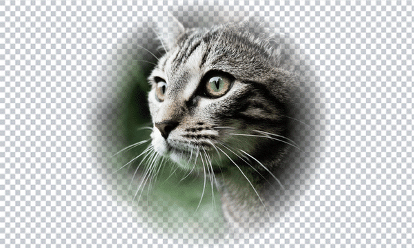 Retail-Grade Halftoning